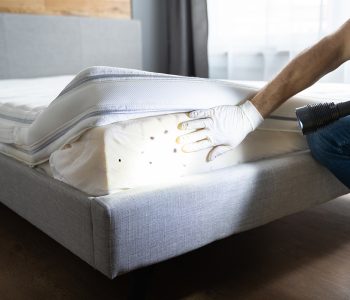 Signs-of-Bed-Bugs-in-the-Mattress